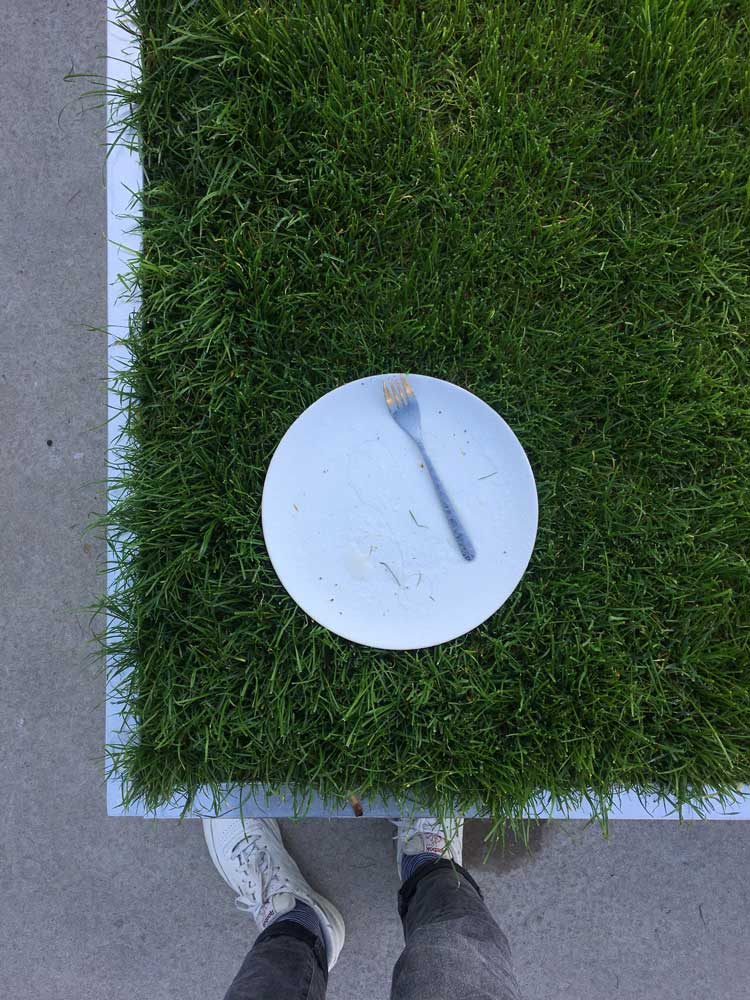 Grass Plate